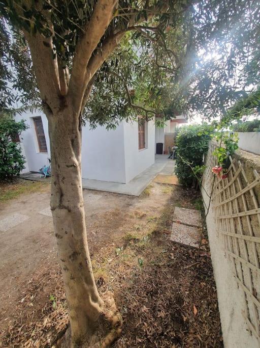 ççç Holiday Properties Le Vele ççç Montalto di Castro Exterior foto