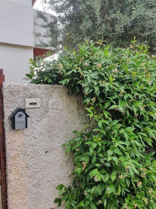 ççç Holiday Properties Le Vele ççç Montalto di Castro Exterior foto