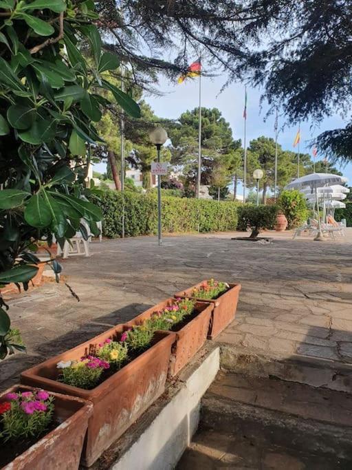 ççç Holiday Properties Le Vele ççç Montalto di Castro Exterior foto